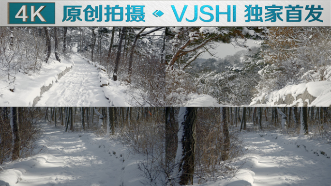 原创拍摄冬季森林浪漫雪景自然风光