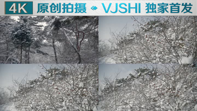 原创拍摄冬季森林浪漫雪景自然风光