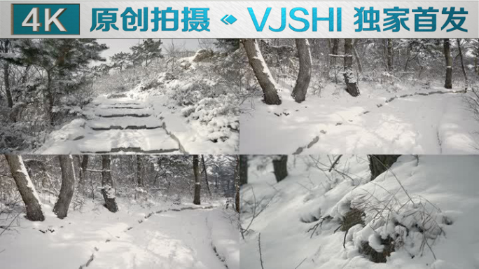 原创拍摄冬季森林浪漫雪景自然风光