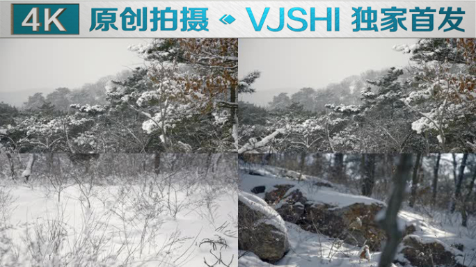 原创拍摄冬季森林浪漫雪景自然风光135