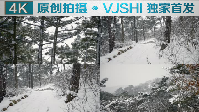 原创拍摄冬季森林浪漫雪景自然风光