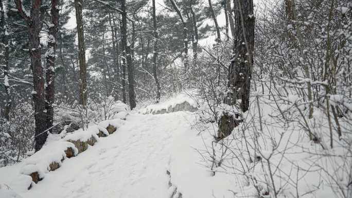 原创拍摄冬季森林浪漫雪景自然风光