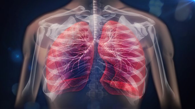 空气污染和病原毒素堆积在肺部导致肺部疾病