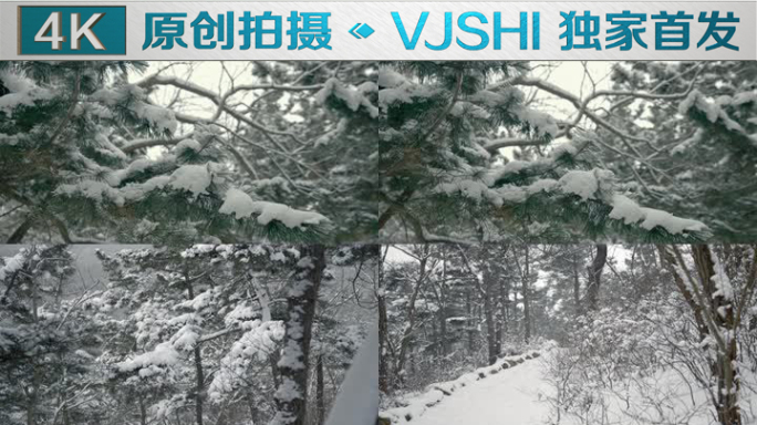 原创拍摄冬季森林浪漫雪景自然风光