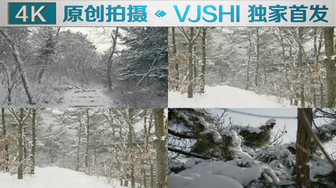 原创拍摄冬季森林浪漫雪景自然风光