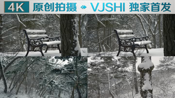 原创拍摄冬季森林浪漫雪景自然风光