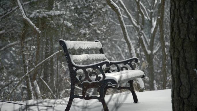 原创拍摄冬季森林浪漫雪景自然风光