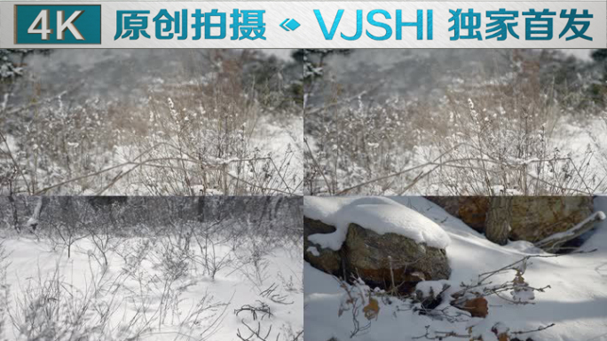 原创拍摄冬季森林浪漫雪景自然风光