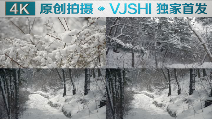 原创拍摄冬季森林浪漫雪景自然风光