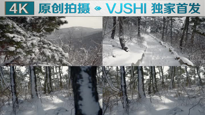 原创拍摄冬季森林浪漫雪景自然风光