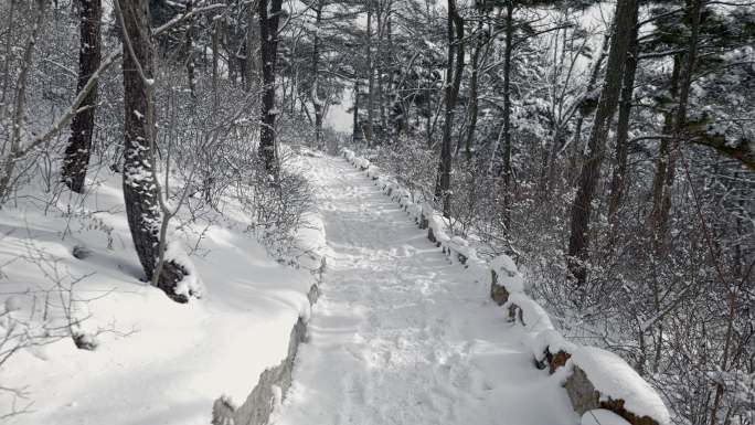 原创拍摄冬季森林浪漫雪景自然风光