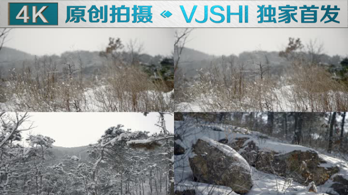 原创拍摄冬季森林浪漫雪景自然风光