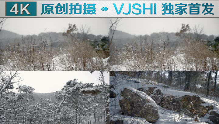 原创拍摄冬季森林浪漫雪景自然风光