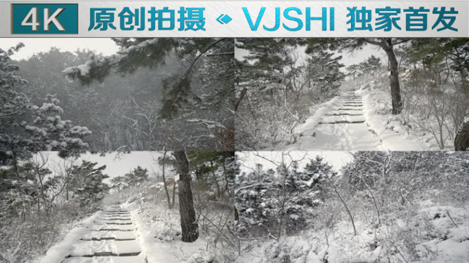 原创拍摄冬季森林浪漫雪景自然风光