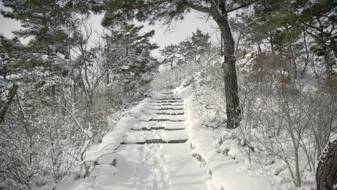 原创拍摄冬季森林浪漫雪景自然风光