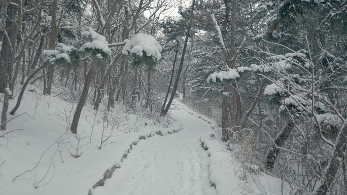 原创拍摄冬季森林浪漫雪景自然风光