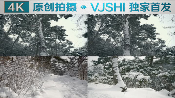 原创拍摄冬季森林浪漫雪景自然风光