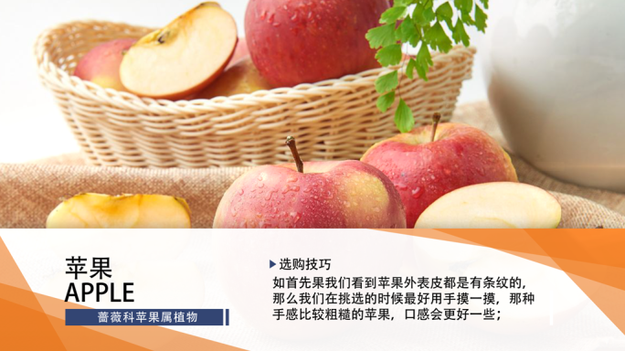 干净简洁图片文字介绍AE模板