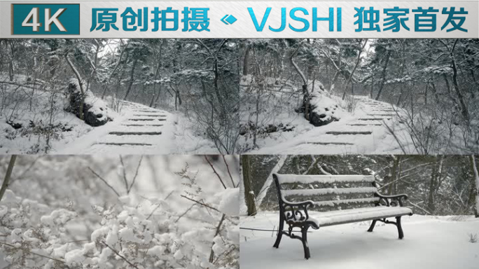 原创拍摄冬季森林浪漫雪景自然风光