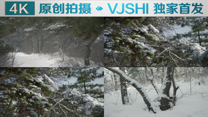 原创拍摄冬季森林浪漫雪景自然风光