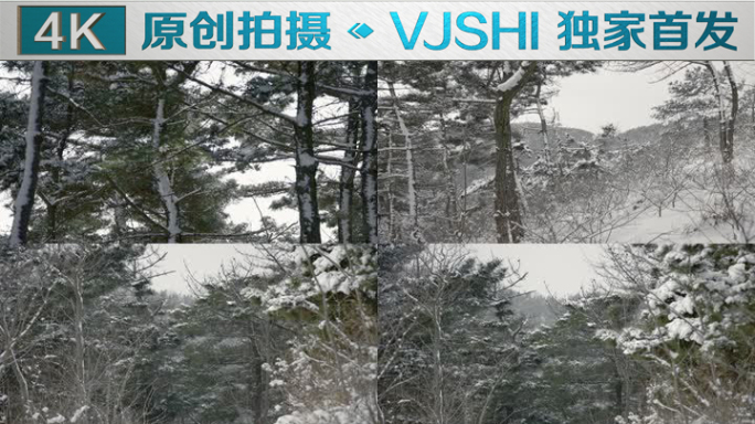 原创拍摄冬季森林浪漫雪景自然风光