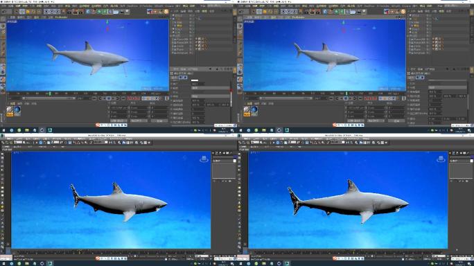 C4D+3dsmax+fbx模型--鲨鱼