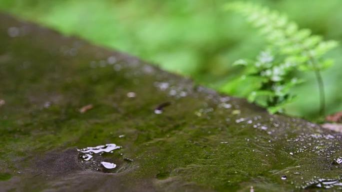 下雨天屋檐滴水清澈水滴溅起水花