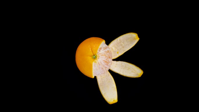 原创橙子橘子水果定格视频