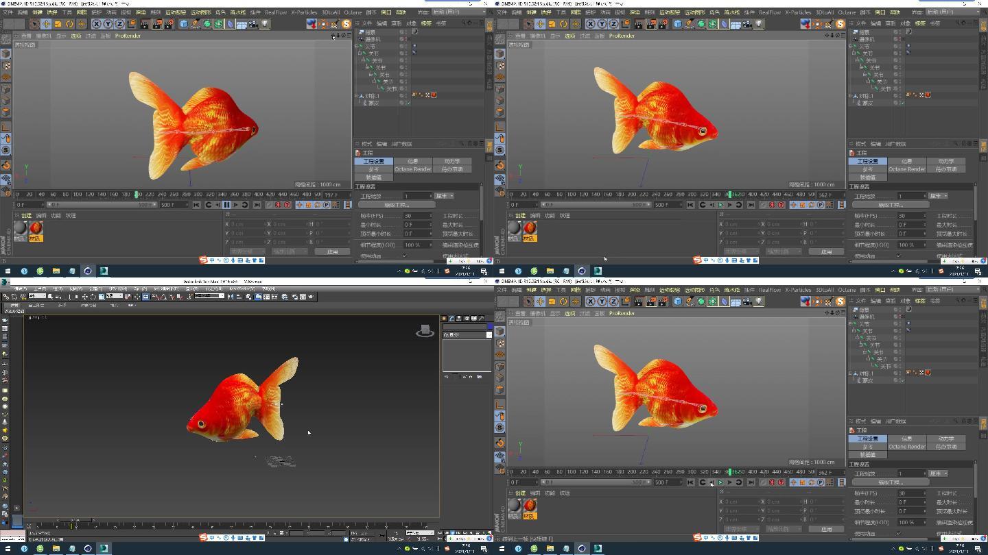 C4D+3dsmax+fbx模型--金鱼