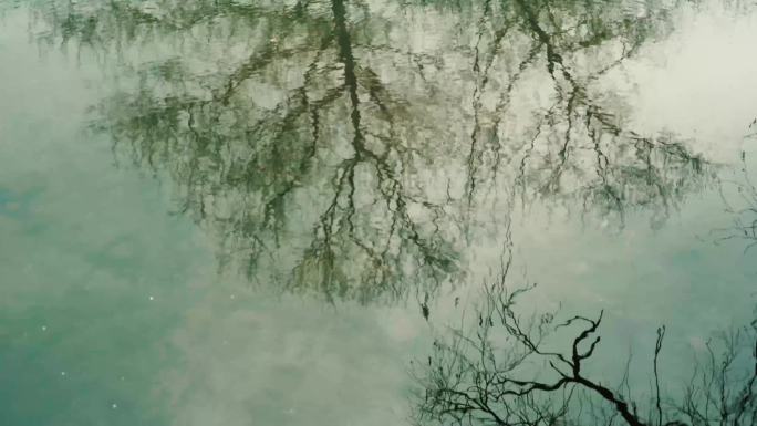 波纹大树倒影河水蓝天白云湖面倒影