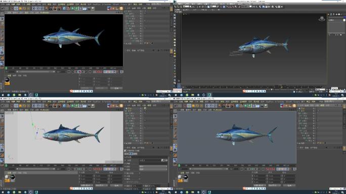 C4D+3dsmax+fbx--金枪鱼