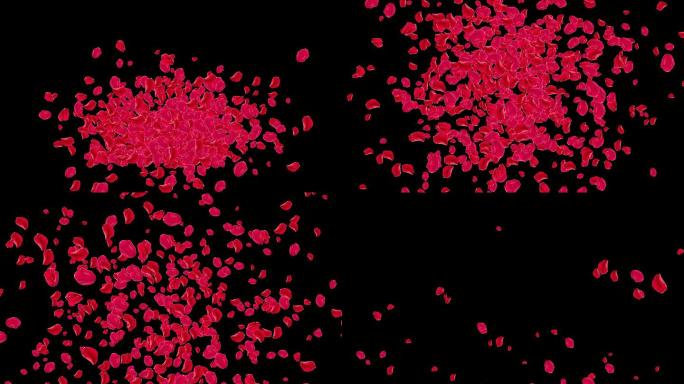4K红色花瓣往上喷涌通道视频