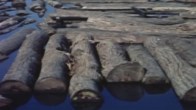 50-60年代木材加工