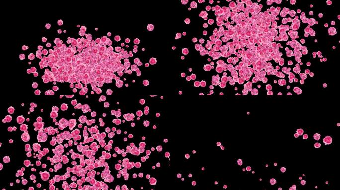 4K粉红花朵往上喷涌通道视频