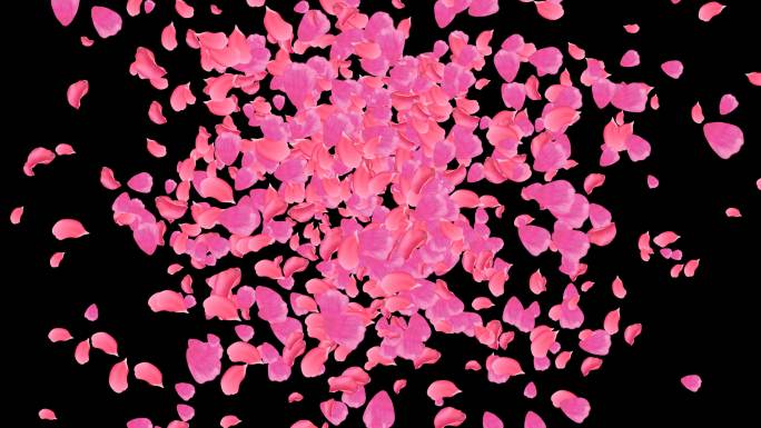 4K粉红花瓣往上喷涌通道视频