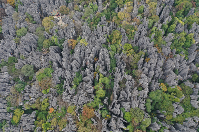 【4k】云南石林风景区4k素材