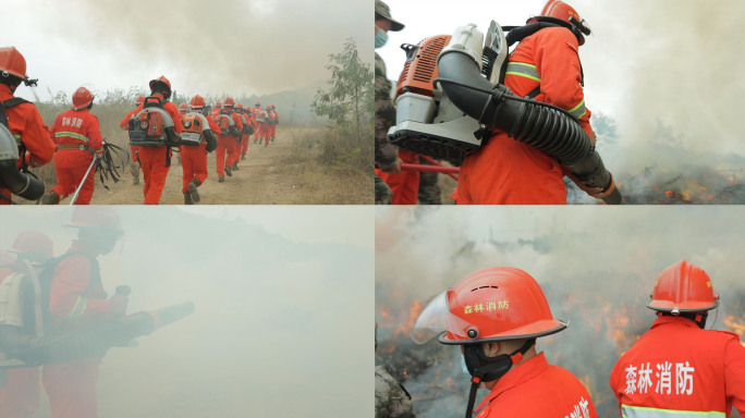 实拍 森林消防队员扑灭山火