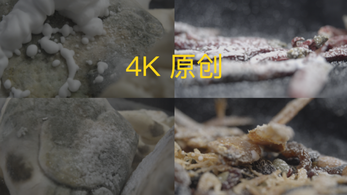 4K腐烂细菌延时、真菌曲霉菌