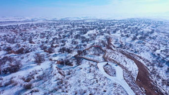 4k航拍高清古浪戈壁八步沙林场雪景冬季