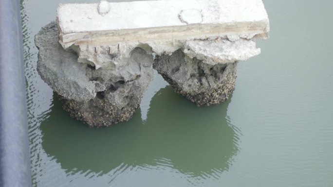 被海水侵蚀后的老桥桩