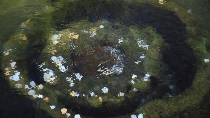 实拍济南趵突泉泉水视频