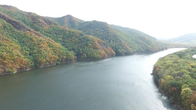 航拍东北森林水库绿水青山