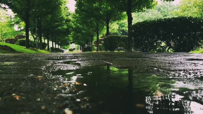 雨天路边积水