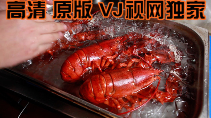 【高清原画】分子料理西餐合集龙虾三文鱼