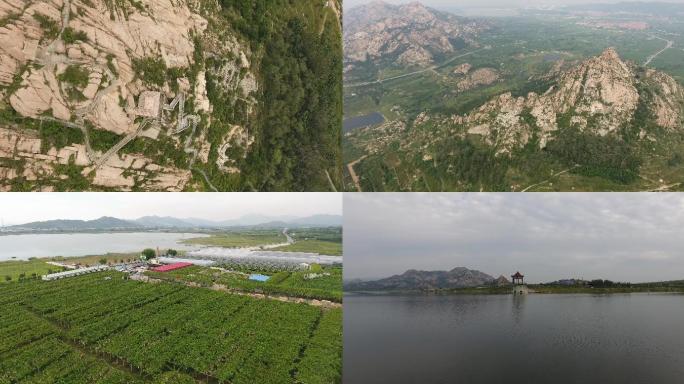 4K平度大泽山天柱山葡萄种植园