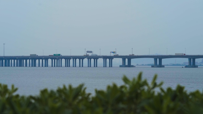 深圳湾海边看海吹海风海景