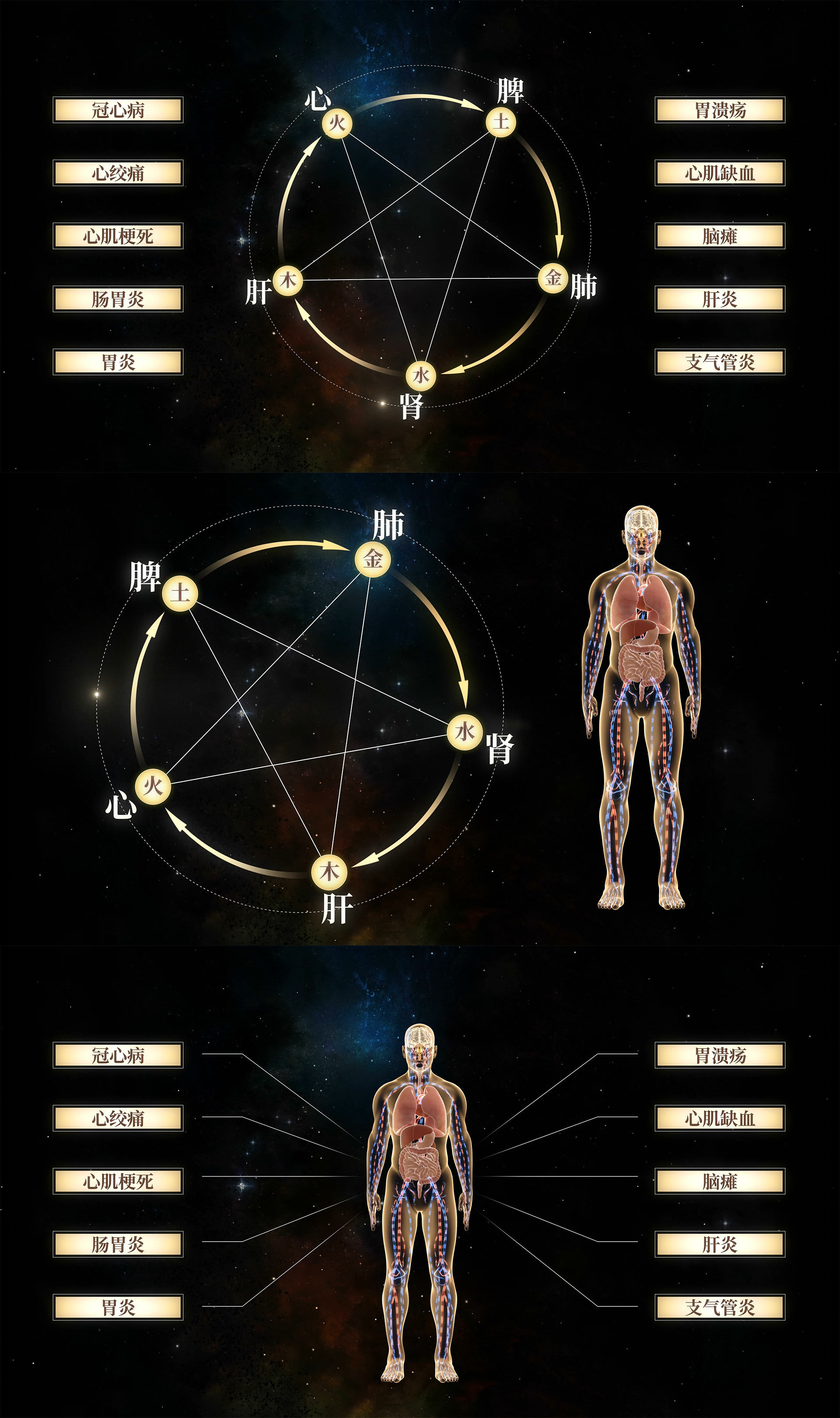 五行五脏人体模板预览