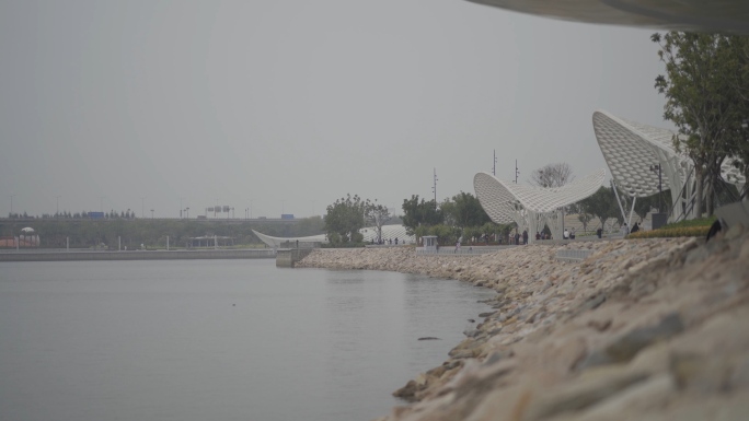 深圳湾海边看海吹海风海景HLG