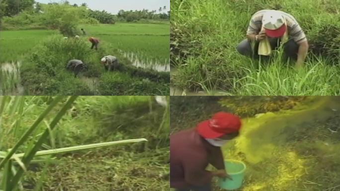 上世纪防治血吸虫病、卫生防疫血吸虫