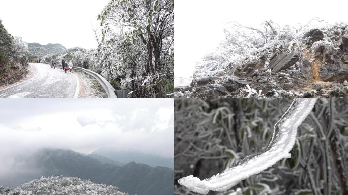 南宁大明山风景区的雾凇